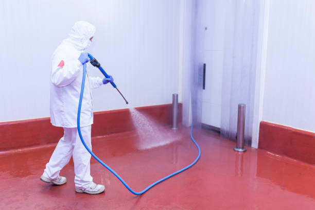 Best Spring Cleaning  in Melrose, MN