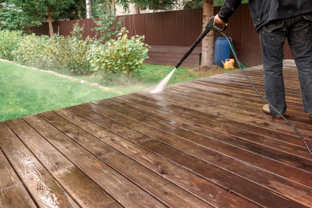 Best Pre-Holiday Cleaning  in Melrose, MN